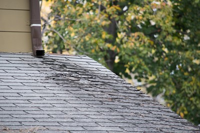 Roof Repair in Westchester Square, New York